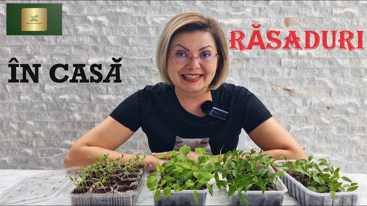 Cum îmi produc răsadurile de roșii, ardei, vinete în condiții de casă