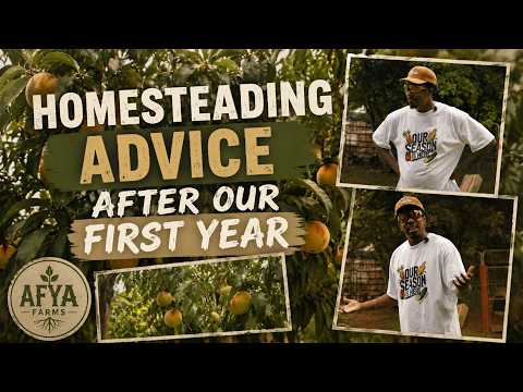 Homesteading Advice After Our First Year
