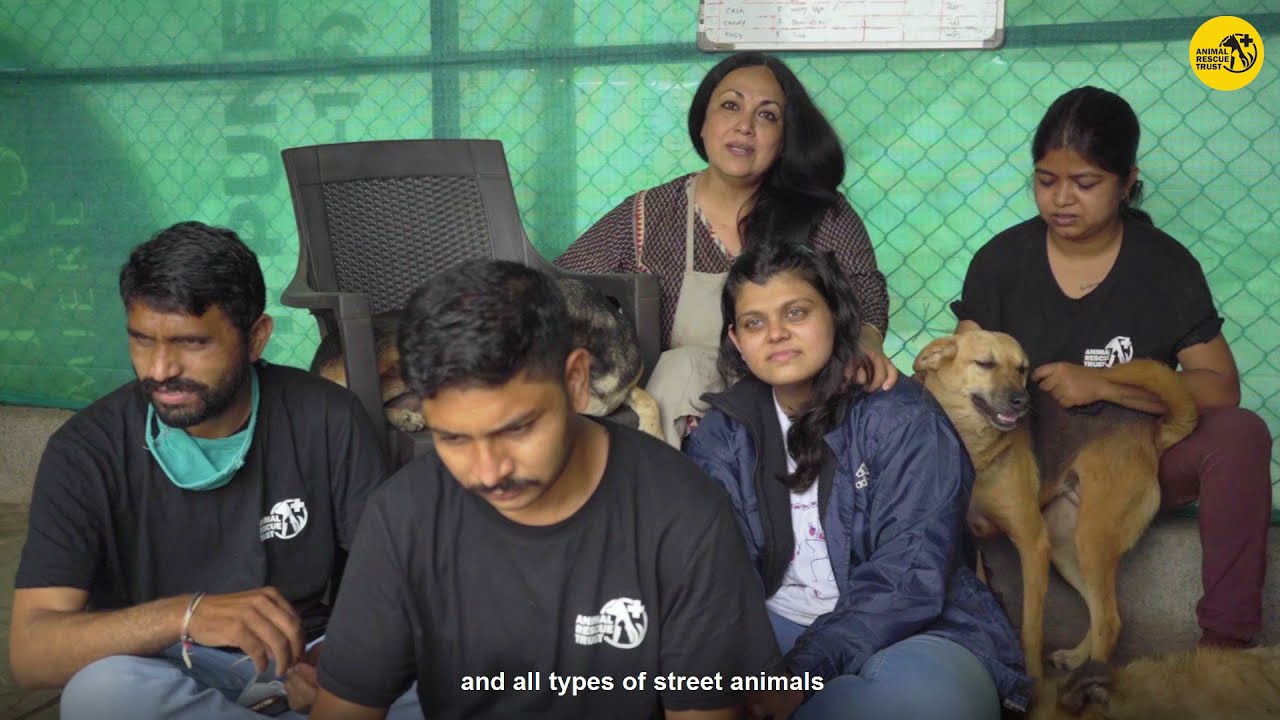 Animal Rescue Trust, Pune