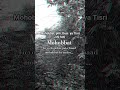 mohobbat ❤️‍🩹🥀@RanuMahobiya-ek4yq🌛 #trendingshorts #yshorts_  #viralsong #subscribemychannel