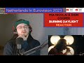 Netherlands In Eurovision 2023 / Mia Nicolai &amp; Dion Cooper - Burning Daylight (Reaction)