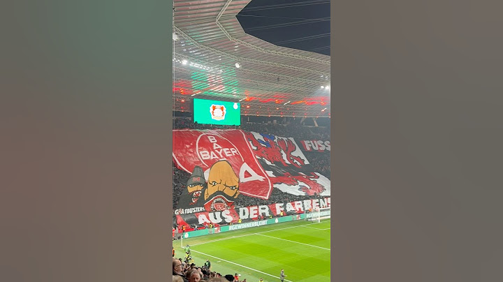 Bayer Leverkusen - 1. FC Köln 🇩🇪 Choreo DFB-Pokal Viertelfinale 2024/2025