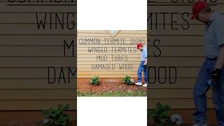Common Termite Signs | DoMyOwn.com #termiteinspection #termitescontrol