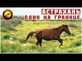 ОДИН НА ГРАНИЦЕ РОССИИ / РЫБАЛКА И ПРИРОДА АСТРАХАНИ