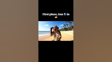 munkeinthecite #ai #funny #monkeyvlog #comedy #monkey #bandar #sorts #bandarvlog