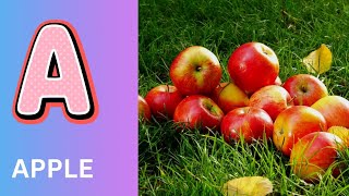 ABC Phonics Song | Alphabet letter sounds | ABC learning for toddlers | Education ABC Nursery Rhymes