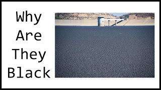 Why Are Shade Balls Black