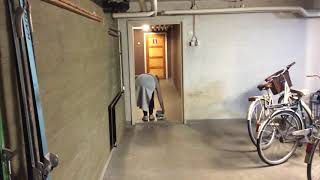 В Коронавирус Учусь Кататься На Скейтборде