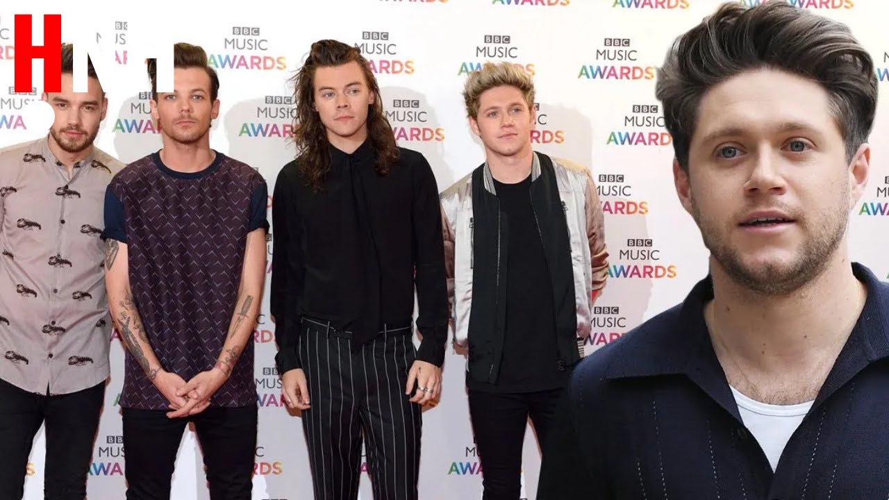 Niall Horan Reveals If He Prefers Working Solo or with One Direction Lads