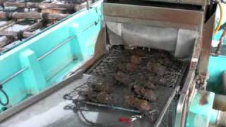 山本真珠養殖場