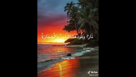 سورة التحريم    اية 6