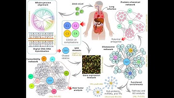 Bioinformatics and Big Data to overcome COVID-19