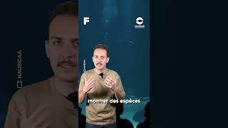 Comment éduquer le jeune public à la culture océanique ?