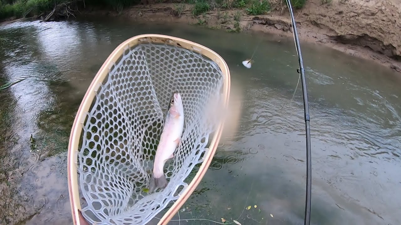 Nine Mile Creek, Nebraska YouTube