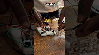 Arduino Day 2026 Spotlight: Byron's livestock theft detector