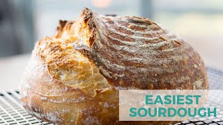 No-Knead Sourdough I Beginner Sourdough Bread
