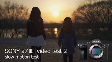 PILOTFLY Adventurer SONY α7ⅲ video test2（slow motion）