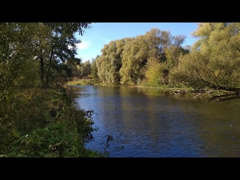 Реки и их поймы