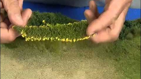 Silflor Goldenrod Weeds MPEG 2 Program stream, 15 Mbps