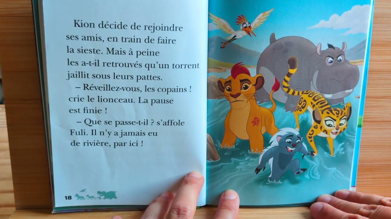 La garde du Roi Lion : Bunga le sage