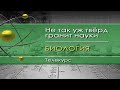 Биология для чайников. Лекция 3. Наружные скелеты - корпусы и каркасы