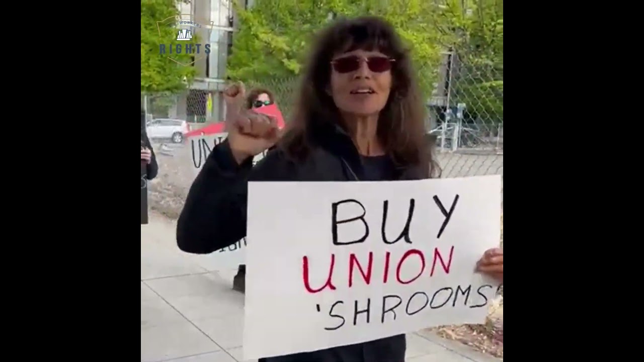 Seattle for workers' rights, urging Windmill Farms to union vote and negotiate fairly with UFW.