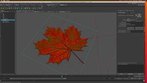Maya 2019 - Opacity / Alpha Channels with the Arnold Renderer and Photoshop