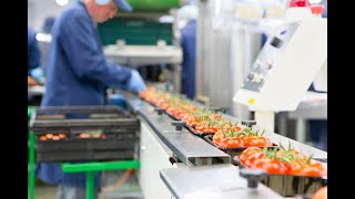 IFS Food version 8 has been published – April 2023