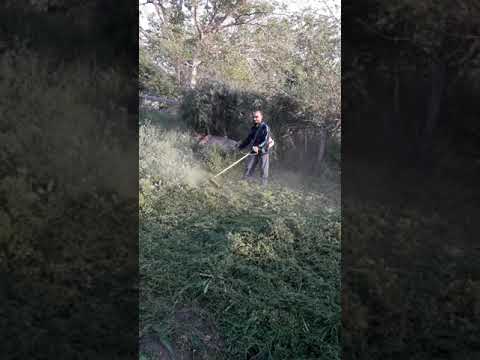Видео: На тревата във Вирджиния те откриха желеобразни бучки от странно вещество - Алтернативен изглед