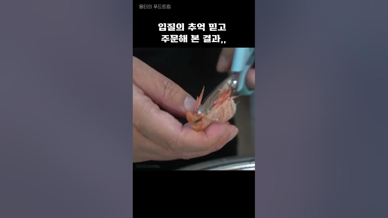 새우논쟁 종결 시킬 생새우 먹방 입질의추억 달마새우 솔직 리뷰 #shorts - YouTube 새우논쟁 종결 시킬 생새우 먹방 입질의추억 달마새우 솔직 리뷰 #Shorts - Youtube
