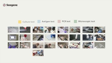 Comprehensive detection of GI pathogens using Allplex™ GI Panel Assays
