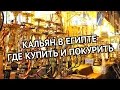 Где купить и покурить кальян в Египте - Шарм Эль Шейх