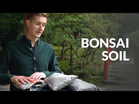 Video: Bonsai-jordinformation og vejledning – hvad består bonsaijord af