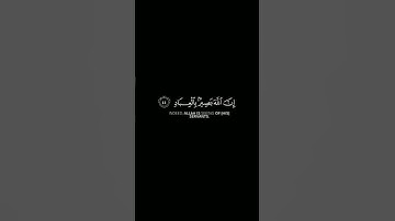 تلاوة خاشعة | ماهر المعيقلي | كروما قرأن شاشه سوداء