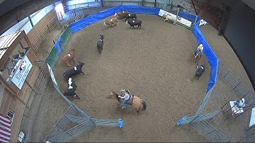 Big Sky Ranch Sorting Saddle Series #6 - #8 HC Ranch Hand - Round #1 - Ride #23