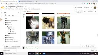 Walkthrough on how to fetch, load, and pre-process image dataset for Deep Learning by Raviraj Dasari