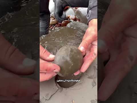 وجد داخل الحجر شئ جعله مليونيرا