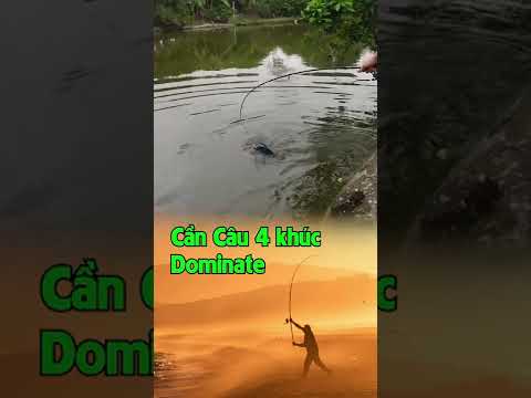 Video Cần Câu 4 Khúc Chắc Khỏe #shorts - youtube