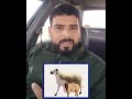 كولشي إبارطاجي المغرب اكسبلور فكرتين  نباتي الجزائر ترند دويتو  تيك توك