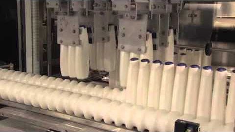 Continuous Motion Bucket Shrink Wrapper for Unstable Oval Bottles
