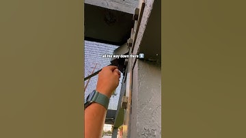 Do you think these ants contributed to this geocache being rated as a 2.0 Difficulty? 🐜👀