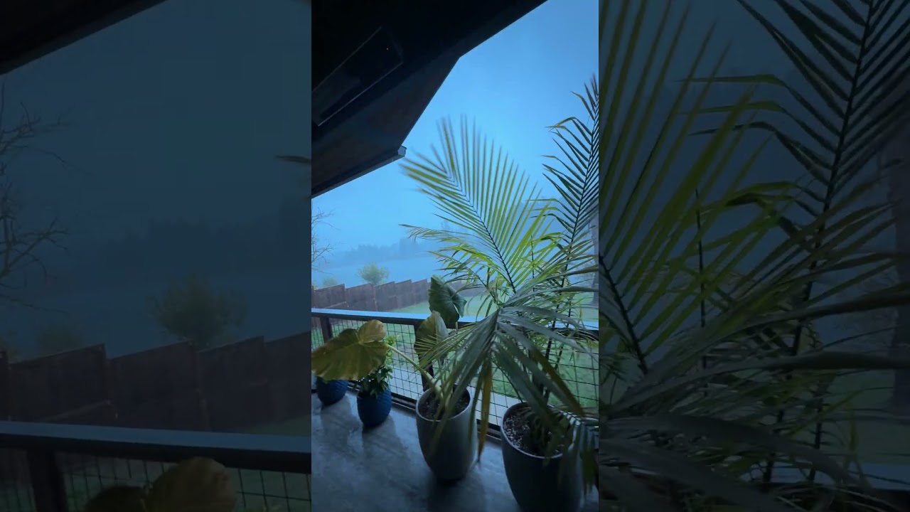 🌧️ Stormy PNW Bliss | Love the Rain on Our Lakefront Home | Pacific Northwest Living 🏡💙