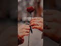El Water El Hassas Sherine With English Lyrics Arabicsong Sherine Sherineabdelwahab Fyp Arab 
