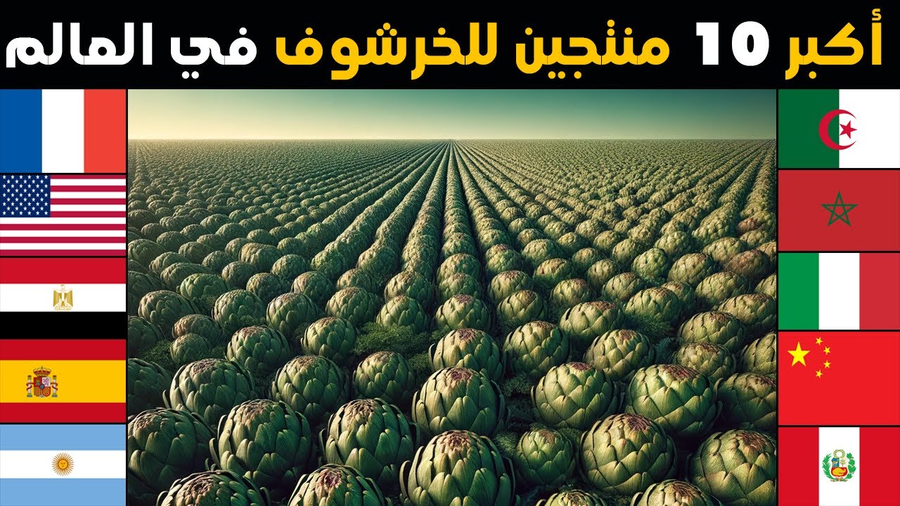 من هي اكثر دولة في انتاج و زراعة الخرشوف في العالم؟ تصنيف جديد لأكبر 10 محاصيل حرشوف في العالم 2024