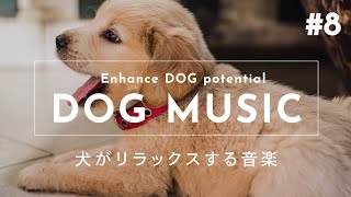 Relaxing Music for Dogs #8【Relieves Separation Anxiety, Sleep Disorders and Boredom】