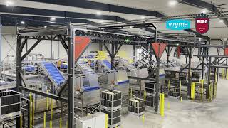 Burg Machinery - Potato Bin Unloading And Logistics Line - Type Pols-O