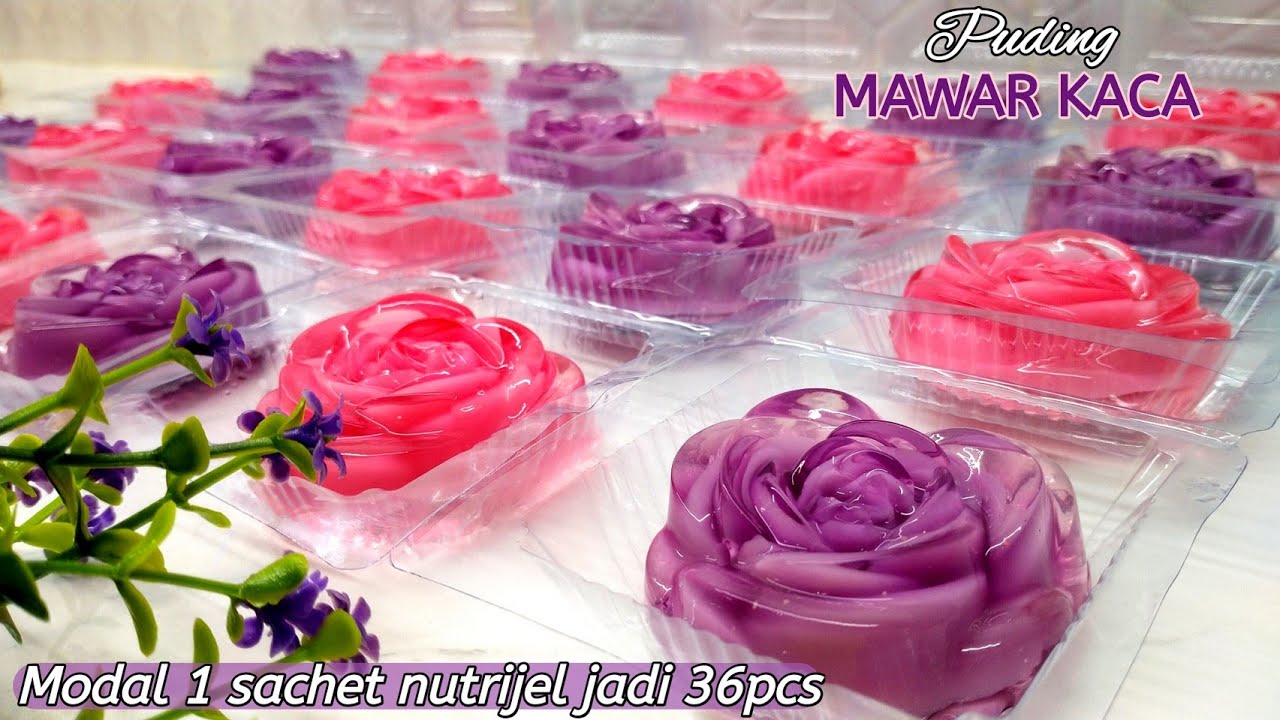 Aku ajarin jualan pakai modal 1 bungkus nutrijel untungnya berlipat || PUDING MAWAR KACA