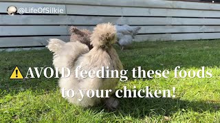 AVOID feeding these foods to your chickens! #backyardchickens #freerangechickens 5 Things You Should Never Feed Your Chickens