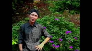 Video thumbnail of "Yadi S : Dino Riyoyo"