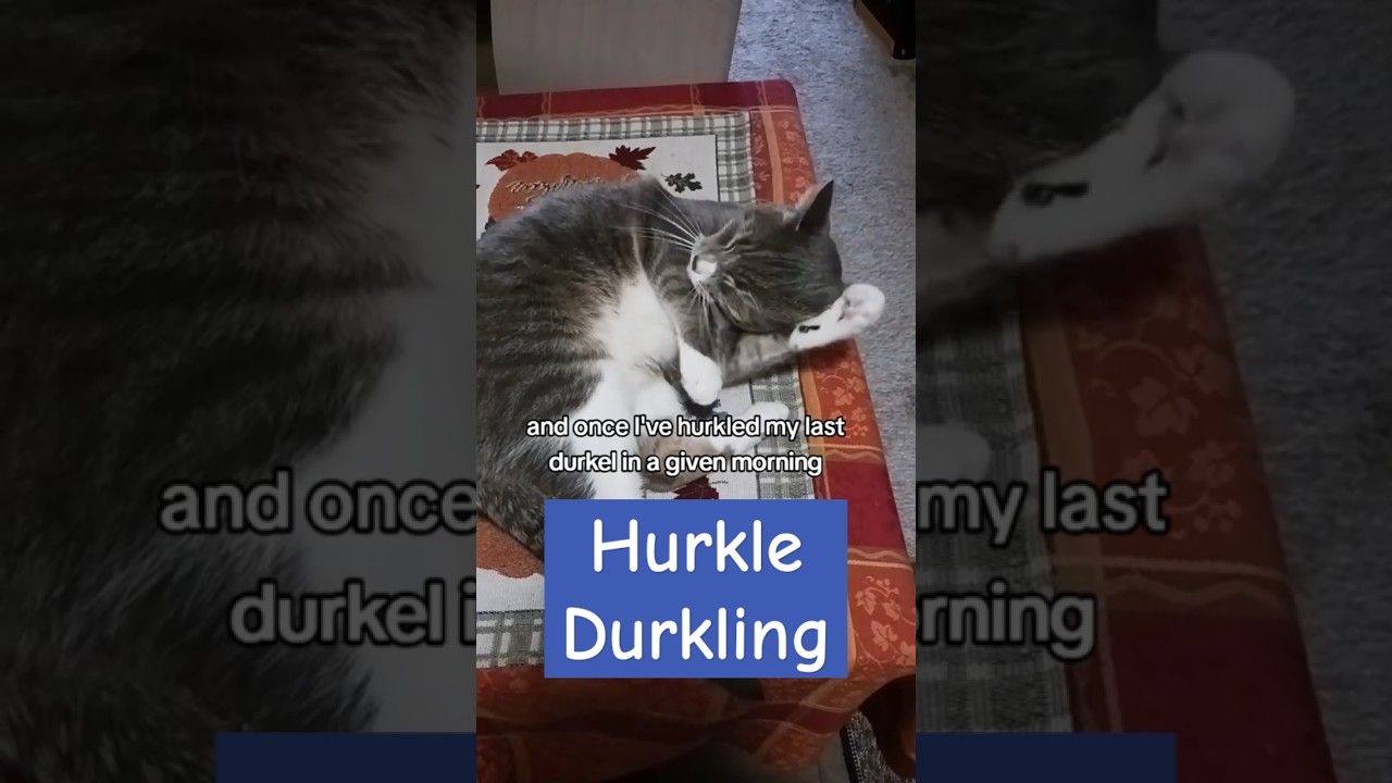 Do you HURKLE DURKLE? 😴🥴  